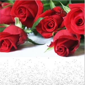 Meet your Posher, Crystale